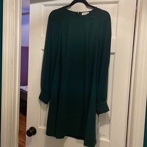 Green Calvin Klein Dress! Size 10 - sheer long sleeve